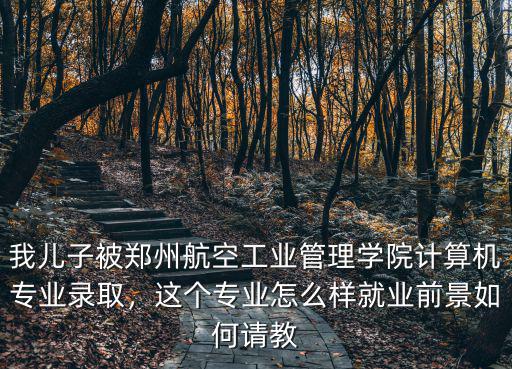 鄭州計算機工作怎么樣,鄭州的工作怎么樣