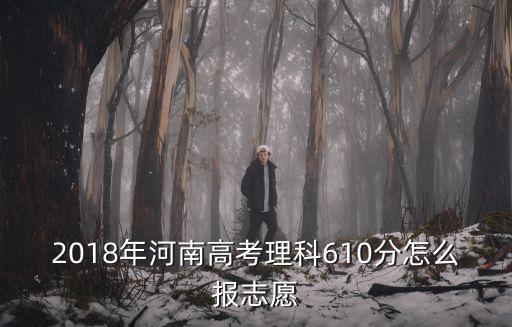 河南理課536怎么填報志愿,該怎么填報志愿