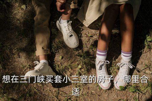 想在三門(mén)峽買(mǎi)套小三室的房子，哪里合適