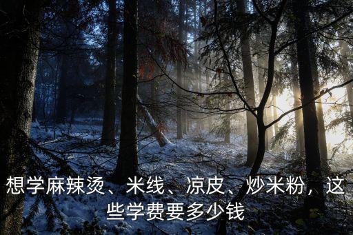 想學麻辣燙、米線、涼皮、炒米粉，這些學費要多少錢