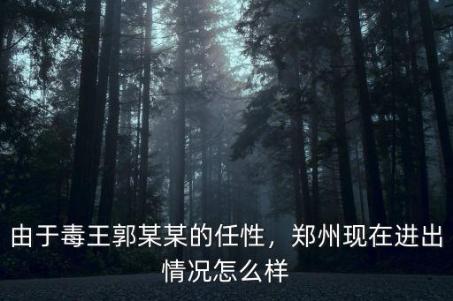 鄭州毒王家人怎么樣,鄭州現在進出情況怎么樣