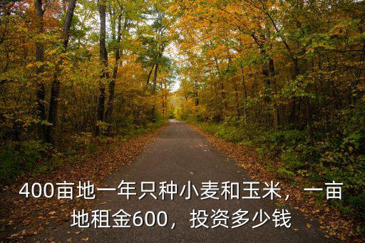 400畝地一年只種小麥和玉米，一畝地租金600，投資多少錢