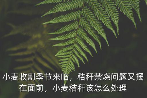 小麥收割季節來臨，秸稈禁燒問題又擺在面前，小麥秸稈該怎么處理
