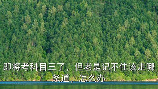 洛陽科目三考試記不住怎么辦,科目三記不住路線怎么辦