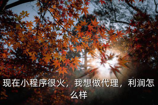 鄭州小程序代理怎么樣,現(xiàn)在小程序代理怎么樣