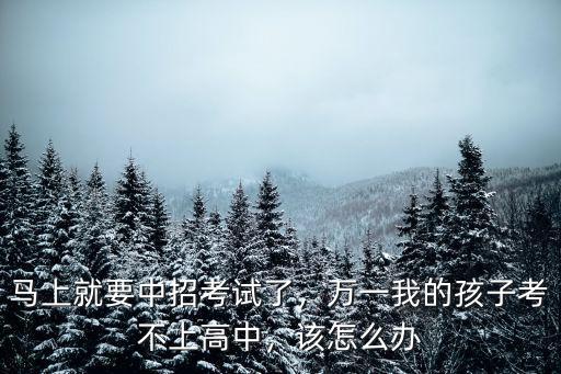 馬上就要中招考試了，萬一我的孩子考不上高中，該怎么辦