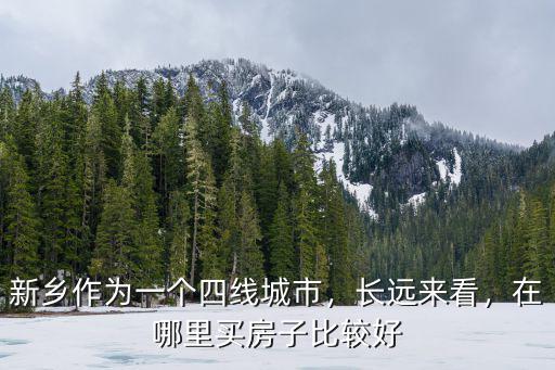 新鄉作為一個四線城市，長遠來看，在哪里買房子比較好