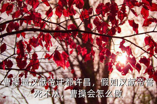 曹操逼漢獻帝遷都許昌，假如漢獻帝誓死不從，曹操會怎么做