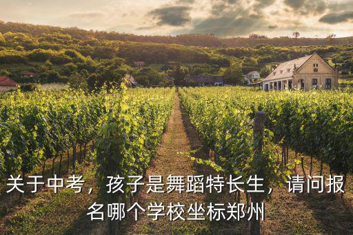 鄭州哪里有機械舞蹈老師呀,鄭州哪里有教跳舞的