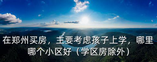 在鄭州買房，主要考慮孩子上學，哪里哪個小區好（學區房除外）