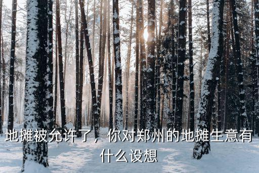地攤被允許了，你對鄭州的地攤生意有什么設想