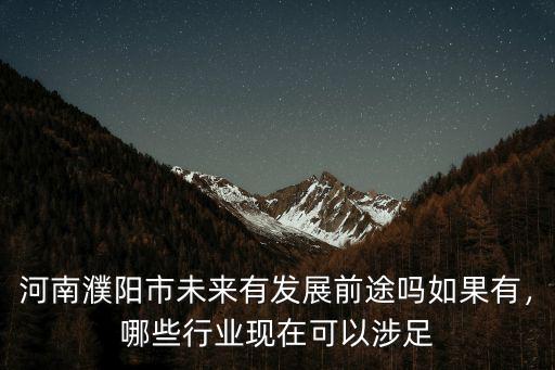 河南濮陽市未來有發展前途嗎如果有，哪些行業現在可以涉足