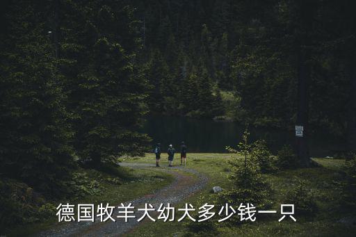 德國牧羊犬幼犬多少錢一只