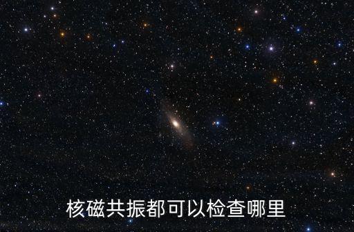 核磁共振都可以檢查哪里