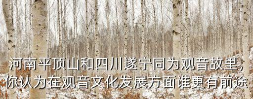 河南白雀寺在哪里,河南縣在哪里