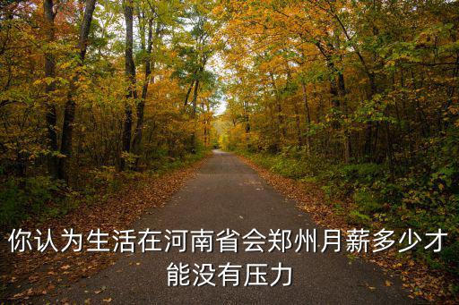 你認為生活在河南省會鄭州月薪多少才能沒有壓力
