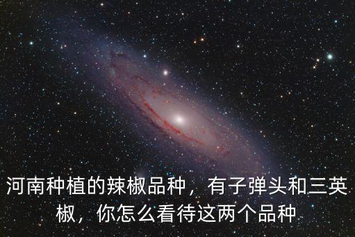 河南種植的辣椒品種，有子彈頭和三英椒，你怎么看待這兩個品種