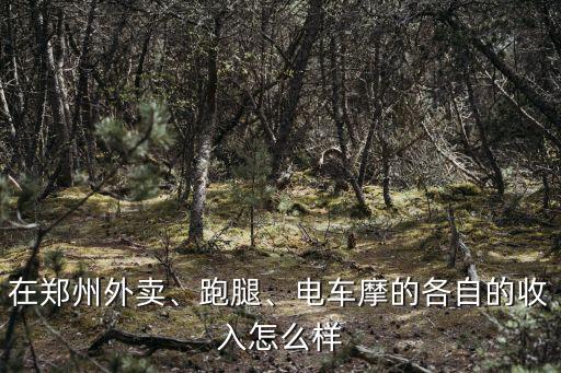 在鄭州外賣、跑腿、電車摩的各自的收入怎么樣
