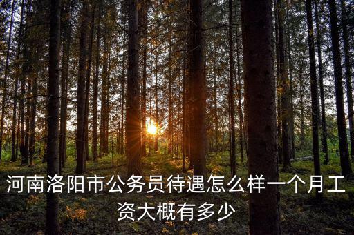 河南洛陽(yáng)市公務(wù)員待遇怎么樣一個(gè)月工資大概有多少