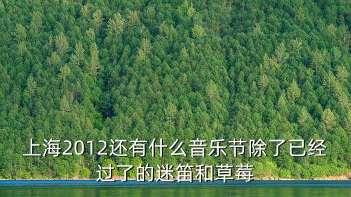 上海2012還有什么音樂節(jié)除了已經(jīng)過了的迷笛和草莓
