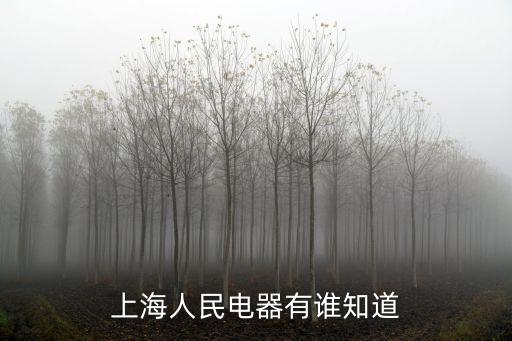 上海人民電器，上海人民電器廠主要有哪些產品