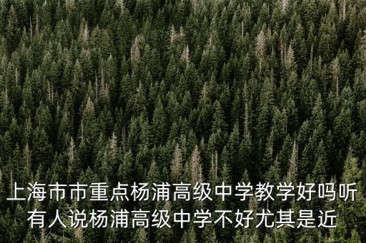 上海市市重點楊浦高級中學教學好嗎聽有人說楊浦高級中學不好尤其是近
