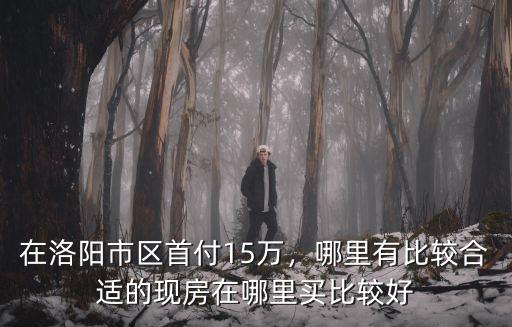 洛陽建業的房子在哪里有賣的,哪里有比較合適的現房