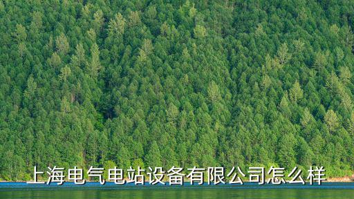 上海電氣電站設(shè)備有限公司怎么樣