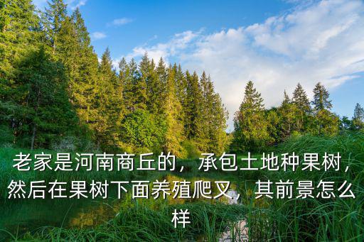 老家是河南商丘的，承包土地種果樹，然后在果樹下面養殖爬叉，其前景怎么樣