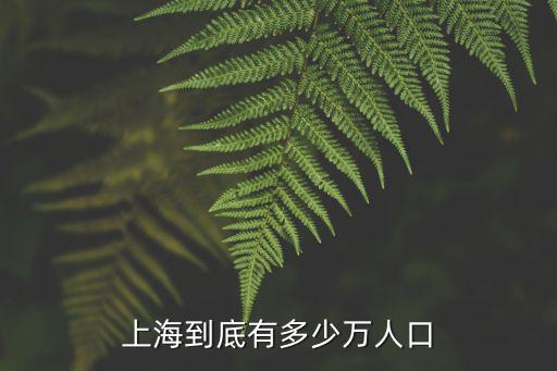 上海到底有多少萬人口