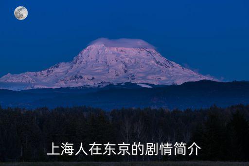 上海人在東京的劇情簡介