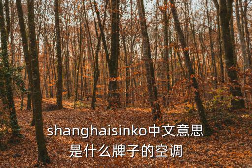 shanghaisinko中文意思是什么牌子的空調