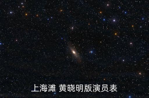 上海灘黃曉明，黃曉明演的上海灘怎么樣