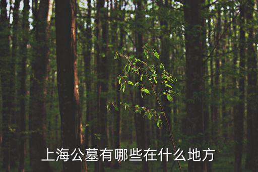 上海公墓，上海附近哪些公墓好