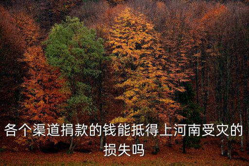 河南受災(zāi)四大行捐款多少,河南水災(zāi)少林寺捐款了嗎