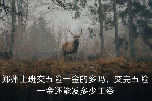 鄭州上班交五險一金的多嗎，交完五險一金還能發多少工資