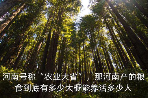 河南號稱“農業大省”，那河南產的糧食到底有多少大概能養活多少人