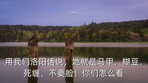 用我們洛陽(yáng)話說(shuō)，她就是馬甲，糊豆，死纏，不要臉！你們?cè)趺纯? class=