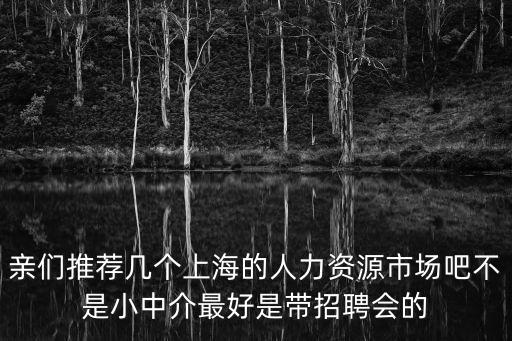 親們推薦幾個上海的人力資源市場吧不是小中介最好是帶招聘會的