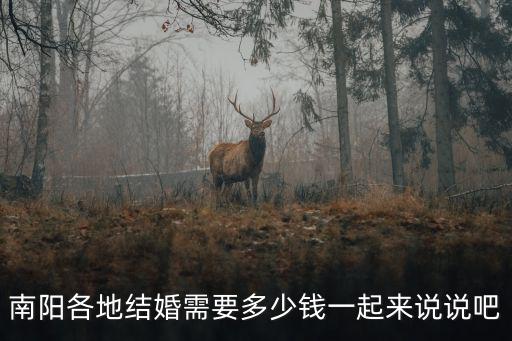 南陽各地結婚需要多少錢一起來說說吧