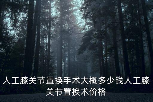 人工膝關節置換手術大概多少錢人工膝關節置換術價格