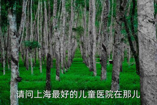 請問上海最好的兒童醫院在那兒