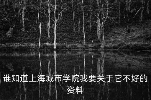 誰知道上海城市學院我要關于它不好的資料