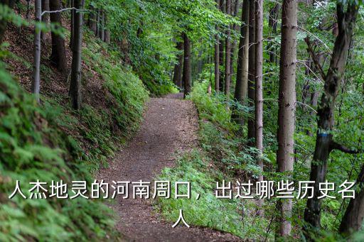 河南周口人有多少,周口人有什么特點