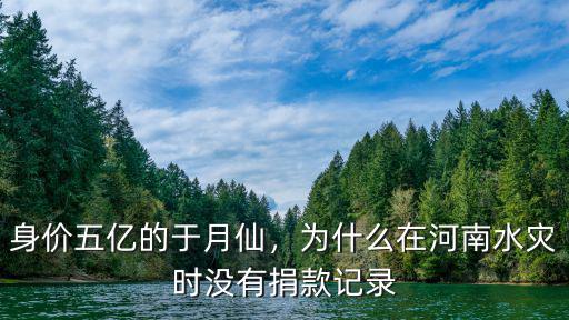 馬蓉給河南捐款多少,司馬南給河南捐款了么