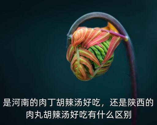 是河南的肉丁胡辣湯好吃，還是陜西的肉丸胡辣湯好吃有什么區別