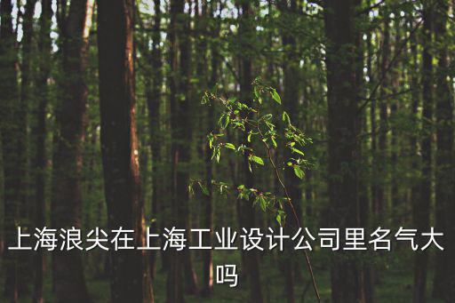 上海浪尖在上海工業設計公司里名氣大嗎