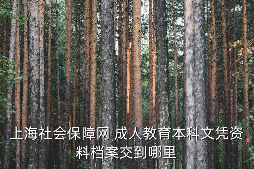 上海社會(huì)保障網(wǎng) 成人教育本科文憑資料檔案交到哪里