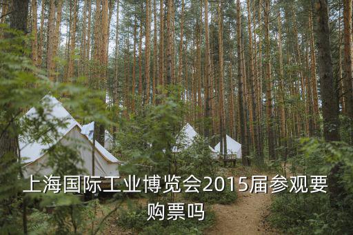 上海國際工業(yè)博覽會(huì)2015屆參觀要購票嗎