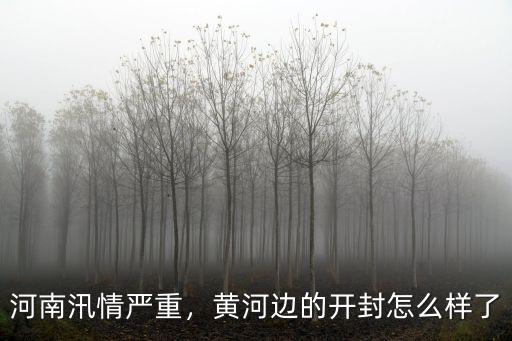 河南的小柯基怎么樣了,黃河邊的開封怎么樣了